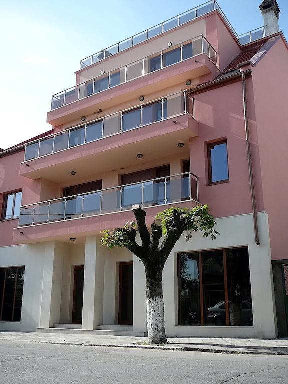 דולנה בניה Tzvetelina Palace Hotel מראה חיצוני תמונה